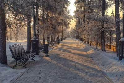 Погода в Иркутске 21 декабря: можно гулять без перчаток