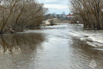 Уровень воды в Рязанской области продолжает повышаться