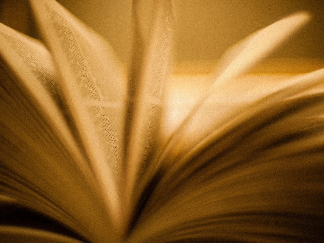 10 слов, которые многие люди употребляют и понимают неправильно (возможно, и вы тоже) | marieclaire.ru