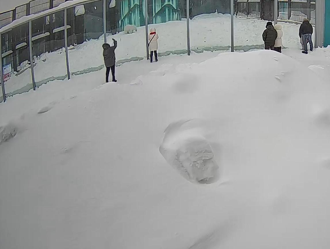 «Мы вызвали ГБР»: гостья Пермского зоопарка собиралась подкинуть белым медведям таблетки и бросила в вольер яблоки