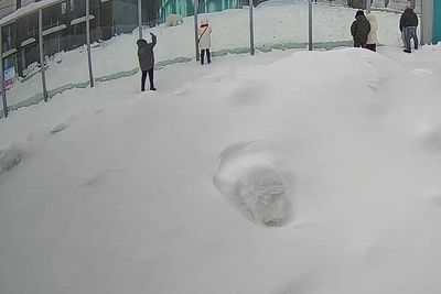 Женщина бросила яблоки белым медведям в Пермском зоопарке