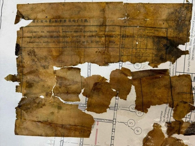 Кроме того, им попались дореволюционные медицинские бланки | Источник: Нина Нагорнева