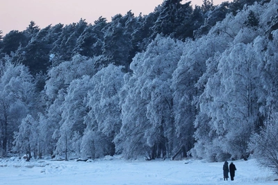 Soft Pink Sunset at Laskovy Beach on January 30