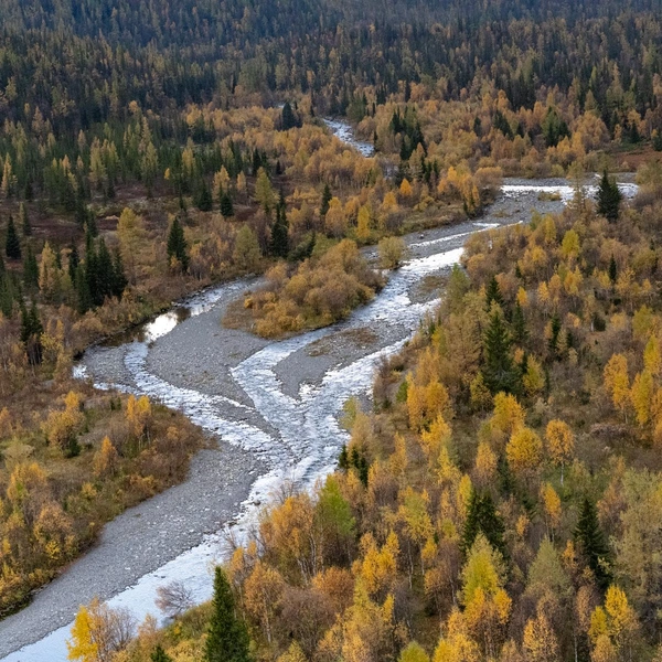 Источник: Константин Парфеньев / предоставлено АНО «Агентство по развитию туризма и продвижению Республики Коми»