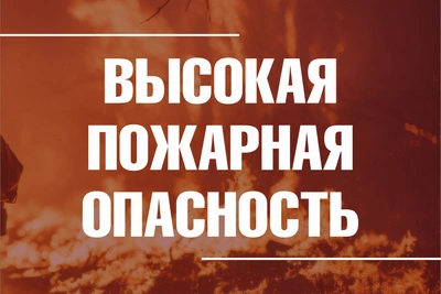 Высокая пожарная опасность объявлена во Владимирской области