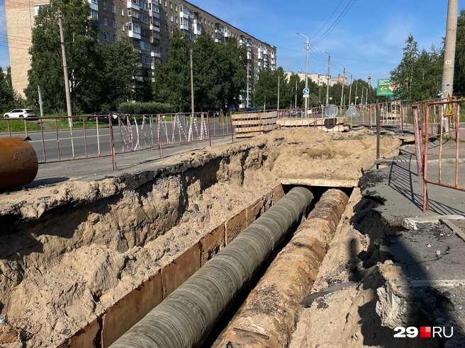 Источник: Антон Данилов / 29.RU