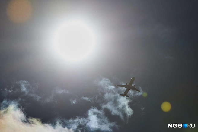 «Зайца» вернули домой тем же самолетом | Источник: Александр Ощепков / NGS.RU
