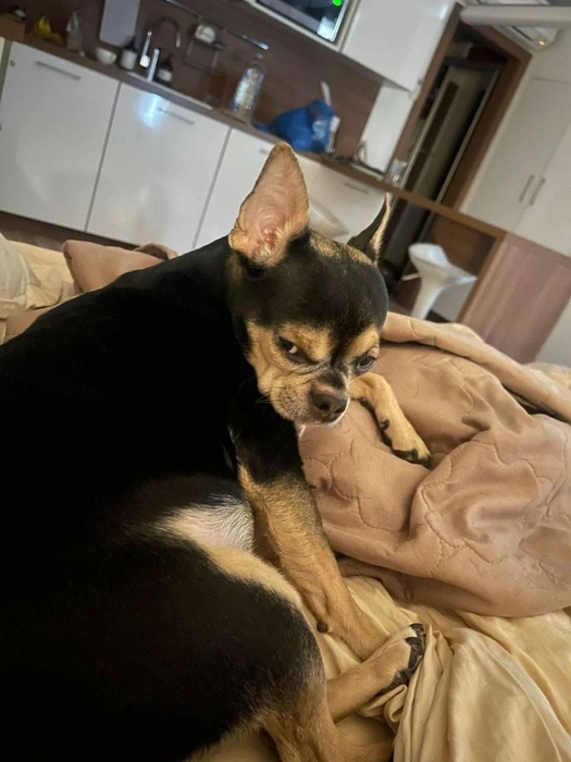 Разбудили. Недоволен | Источник: читатель 63.RU