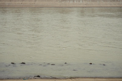 Сброс с Ириклинского водохранилища вновь увеличат