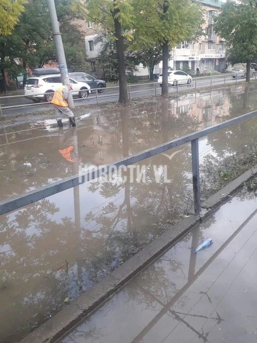 Источник: vl.ru