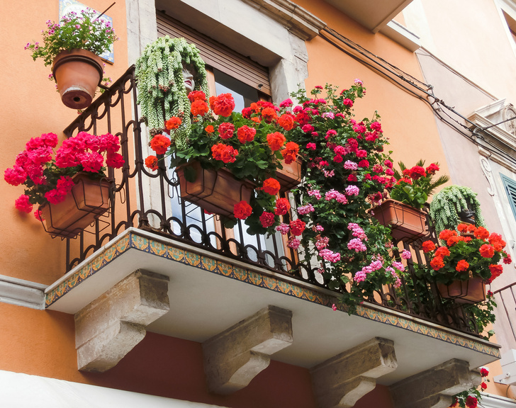 Балкон с цветами