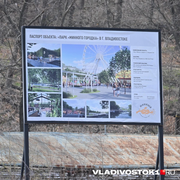 Источник: Елена Буйвол / VLADIVOSTOK1.RU