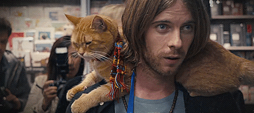 Усы, лапы и хвост: 10 самых крутых котиков в истории кинематографа