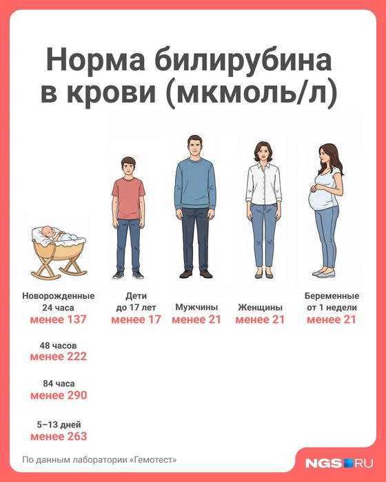 Источник: Юрий Орлов / Городские медиа