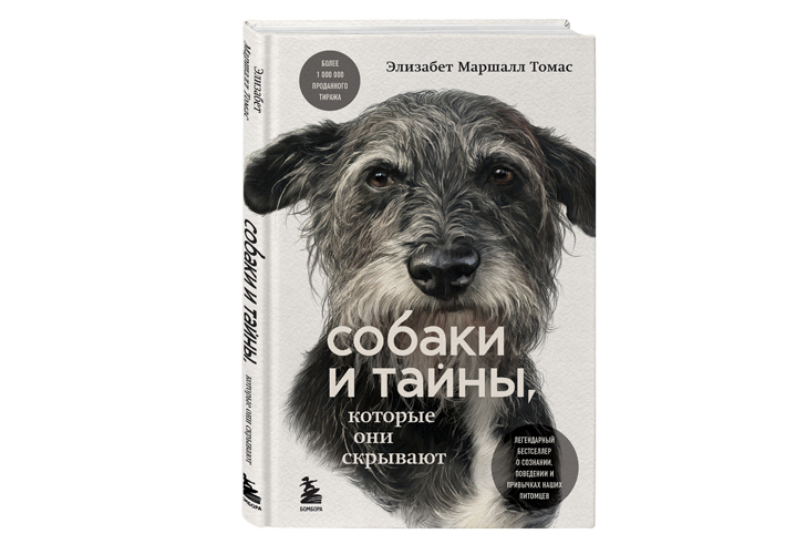 8 новинок Московской международной книжной ярмарки, на которые стоит обратить внимание