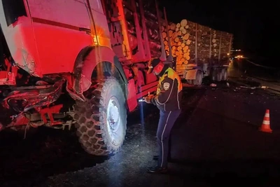 Три человека погибли в аварии с лесовозом на свердловской трассе