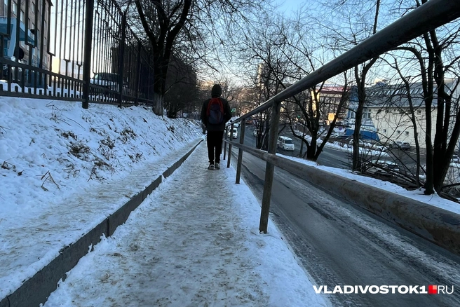 Это второй случай с одного и того же дня | Источник: Елена Буйвол / VLADIVOSTOK1.RU