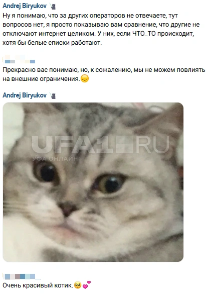 Даже кот в ужасе | Источник: Андрей Бирюков / UFA1.RU