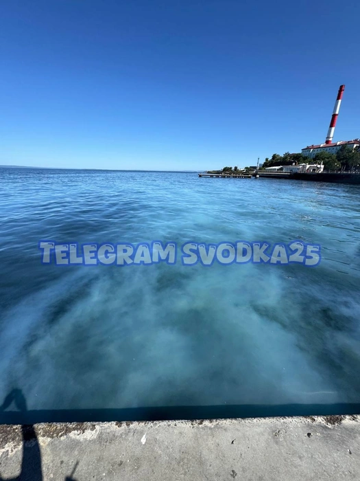Эколог побывал на месте и записал видео | Источник: Svodka25 l Новости Приморья и Владивостока / T.me
