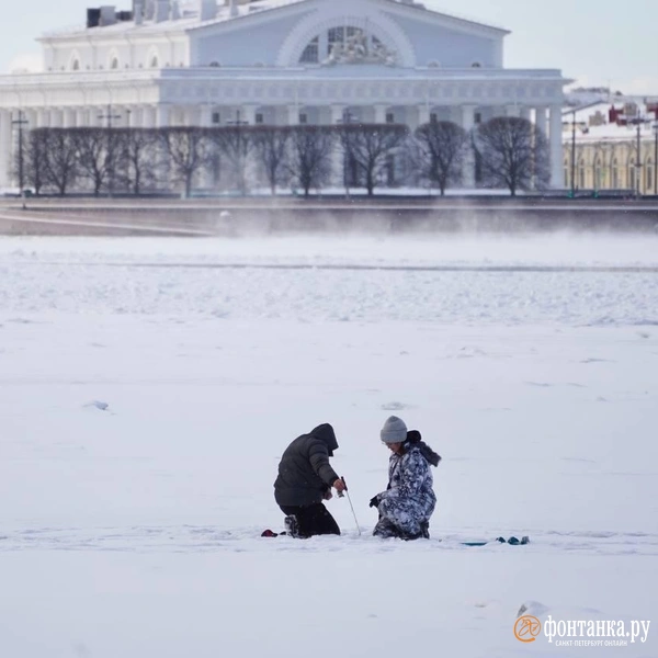 Мороз и солнце. Петербуржцы в воскресенье предавались зимним забавам | Источник: Павел Даиси / «Фонтанка.ру»