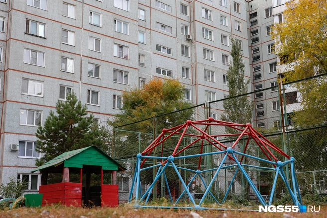 А вы лазили по такой паутине? | Источник: Евгений Софийчук / NGS55.RU