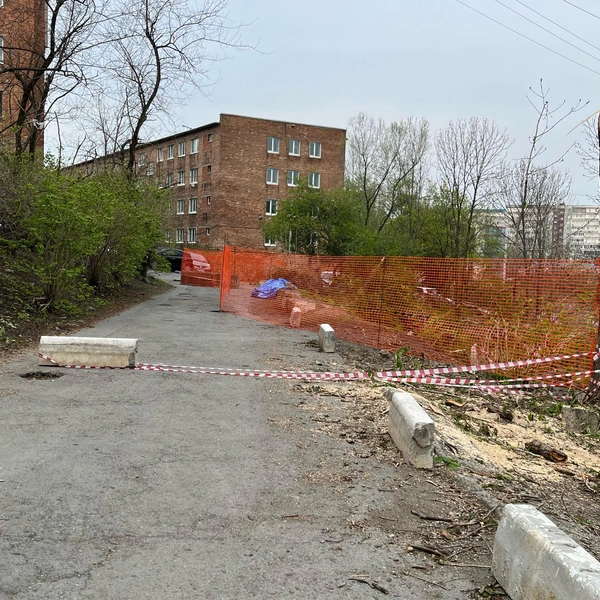 Источник: Елена Буйвол / VLADIVOSTOK1.RU