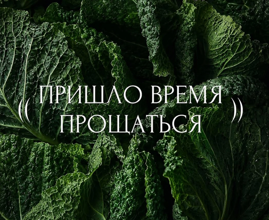 Конец красивого мифа: почему российская мода в 2026 году просит о помощи вслух | marieclaire.ru