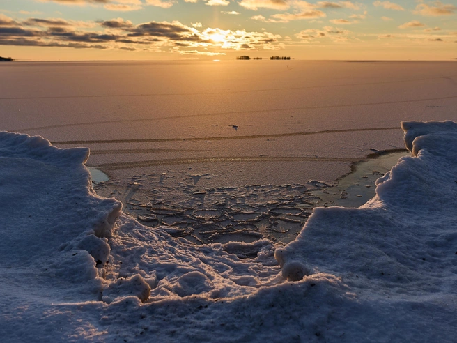 Источник: Александр Ощепков / NGS.RU