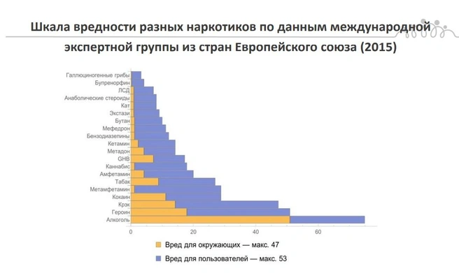 Источник: Елена Колесникова