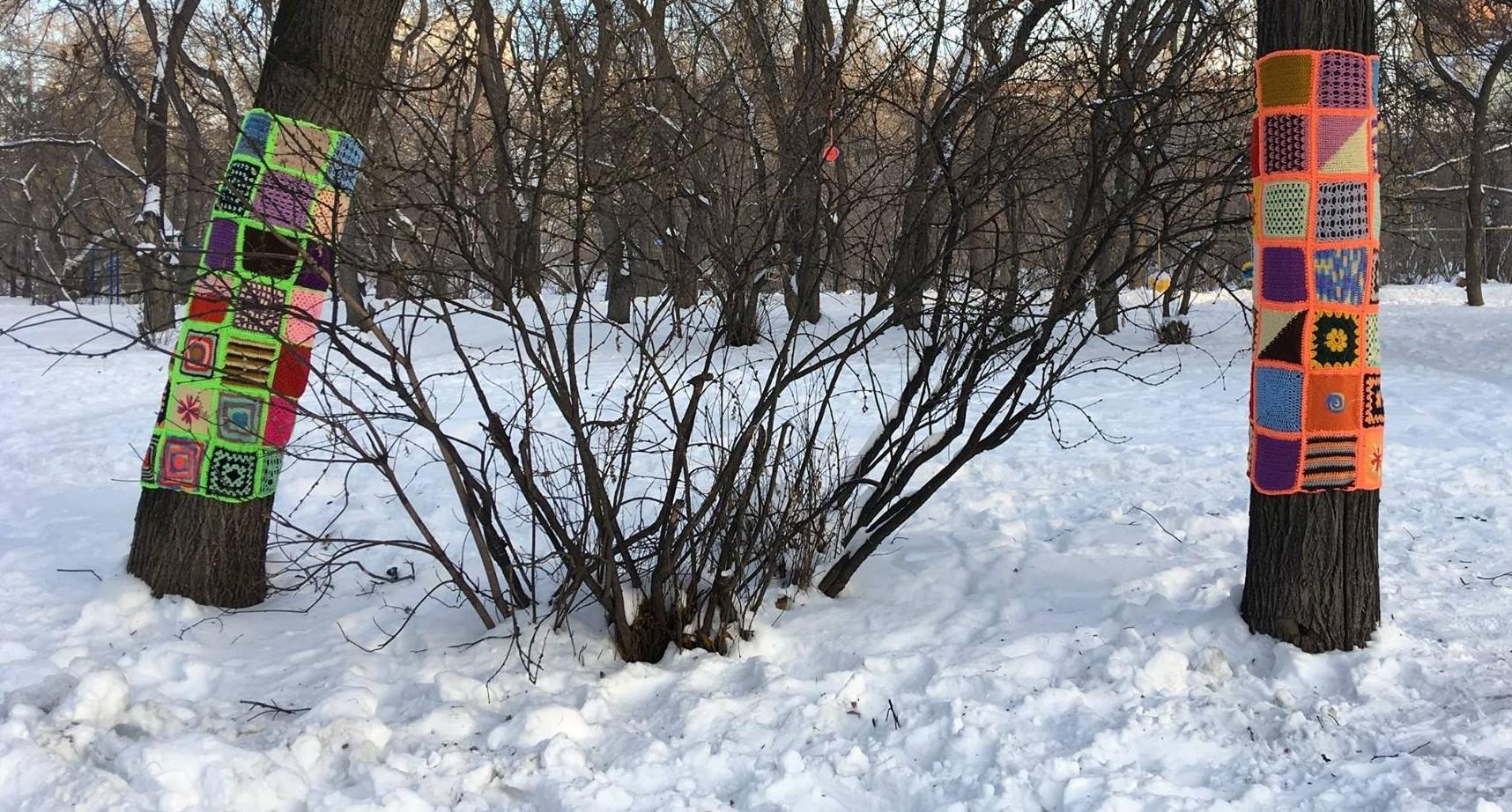 Деревья в парке за Дворцом молодёжи укутали бабушкиными одеялками - 18  декабря 2017 - Е1.ру