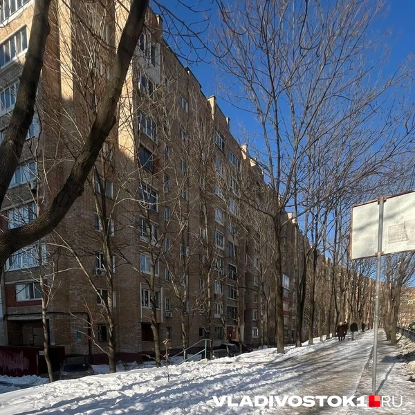 Источник: Елена Буйвол / VLADIVOSTOK1.RU