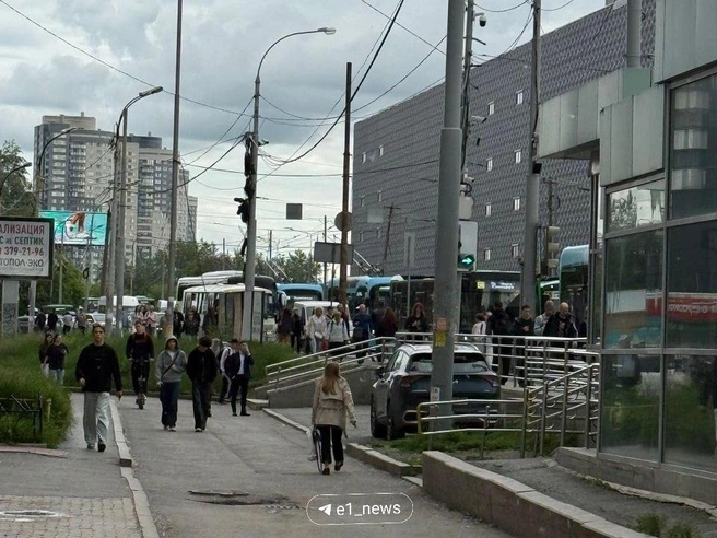 Ситуация на Ботанике сложная | Источник: читатель E1.RU