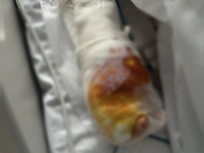 Источник: Мишонова / T.me