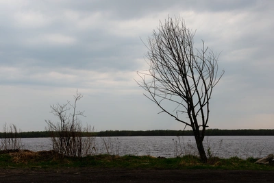 Ночью в Архангельской области пройдет снег