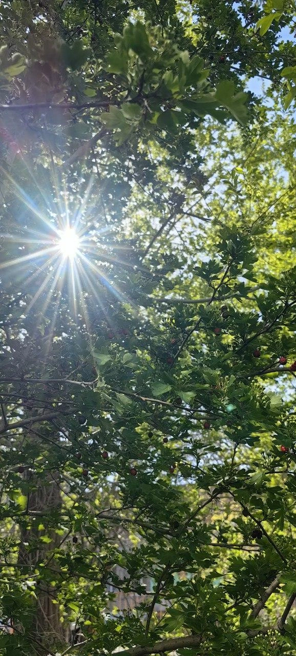 На первый майсках праздникам в этом году было солнечно | Источник: Olza.Foto