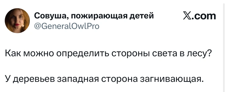 Источник: X (Twitter)