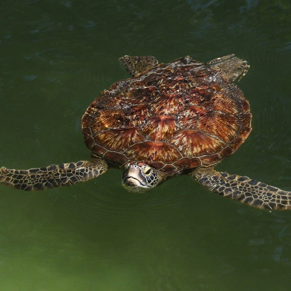 Источник: личный архив Натальи Бурухиной