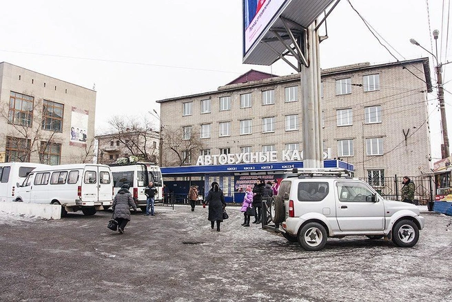 Источник: Ксения Зимина