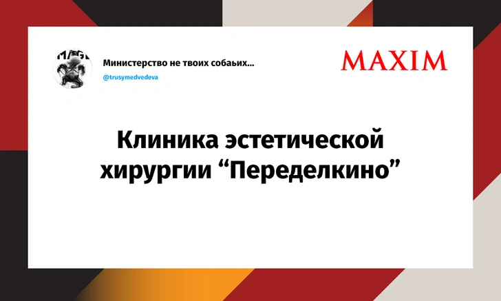 Шутки вторника и чайный король | maximonline.ru