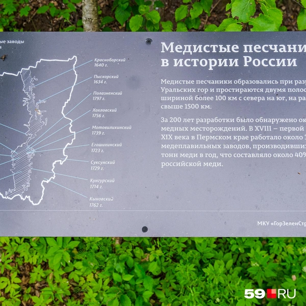 На тропе не только гуляешь, но и узнаешь много нового | Источник: Тимофей Калмаков / 59.RU