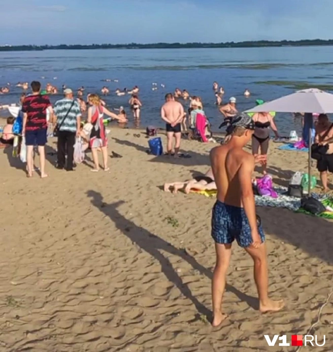 Однако многих горожан водоросли нисколько не смущают | Источник: читатели V1.RU
