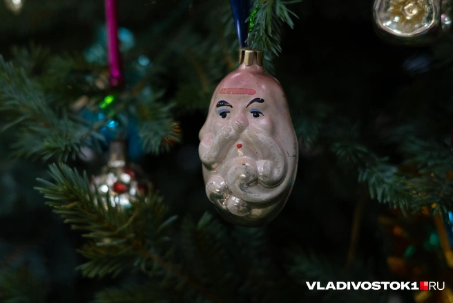 Источник: Елена Буйвол / VLADIVOSTOK1.RU