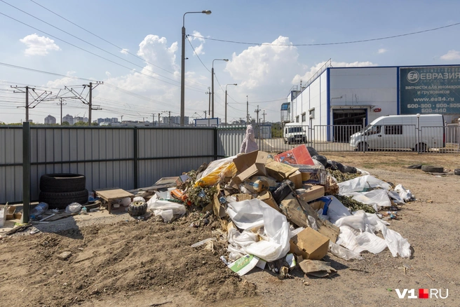 Площадку из листов металлопрофиля оборудовали в июне | Источник: Константин Завриков / V1.RU