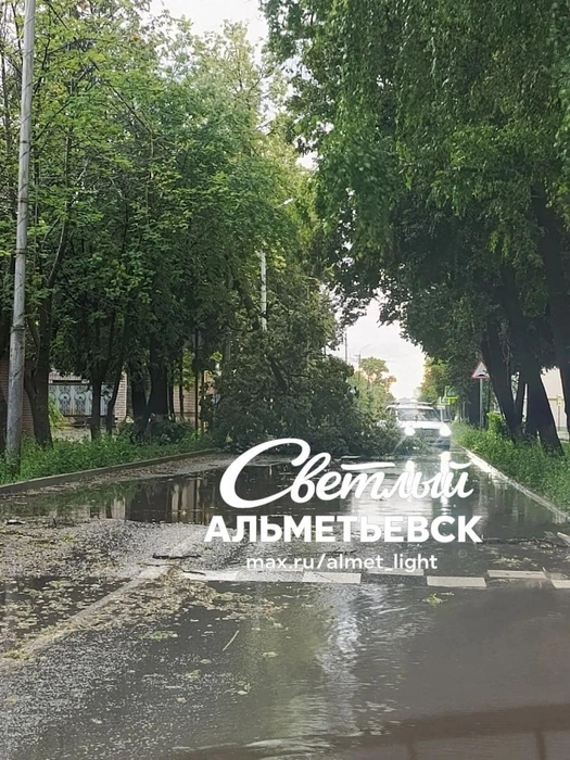 Источник: Светлый Альметьевск / T.me
