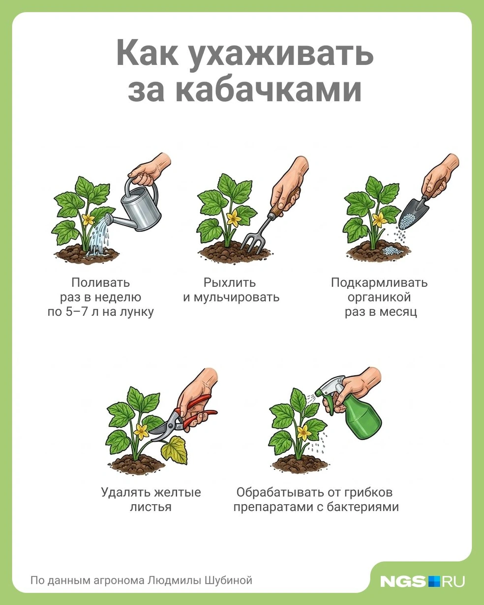 Источник: Юрий Орлов / Городские медиа