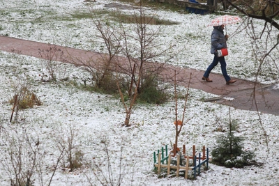 В Кузбассе 27 марта ожидаются дожди и мокрый снег