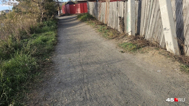 На улице Тельмана | Источник: Дарья Никитченко / 45.RU