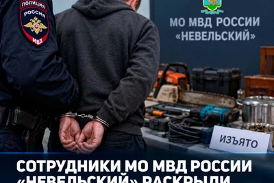Полиция раскрыла серию краж в Невельском округе