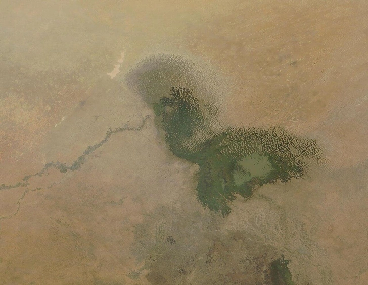 Озеро Чад, вид со спутника NASA | Источник: Jeff Schmaltz, MODIS Land Rapid Response Team, NASA GSFC, Public domain, via Wikimedia Commons