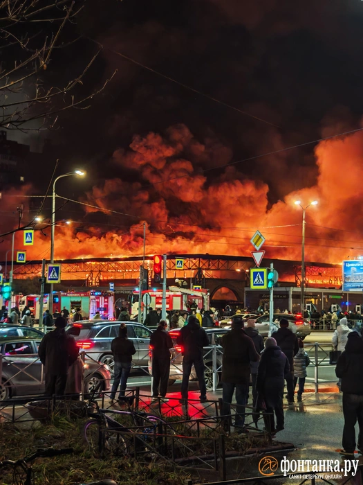 Источник: читатель «Фонтанки» Павел